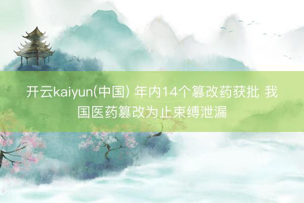 开云kaiyun(中国) 年内14个篡改药获批 我国医药篡改为止束缚泄漏