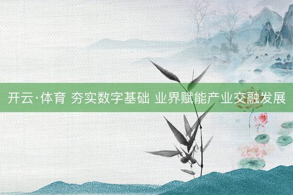 开云·体育 夯实数字基础 业界赋能产业交融发展