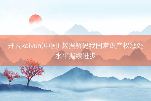 开云kaiyun(中国) 数据解码我国常识产权惩处水平握续进步