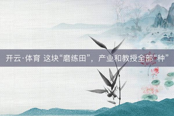 开云·体育 这块“磨练田”,产业和教授全部“种”