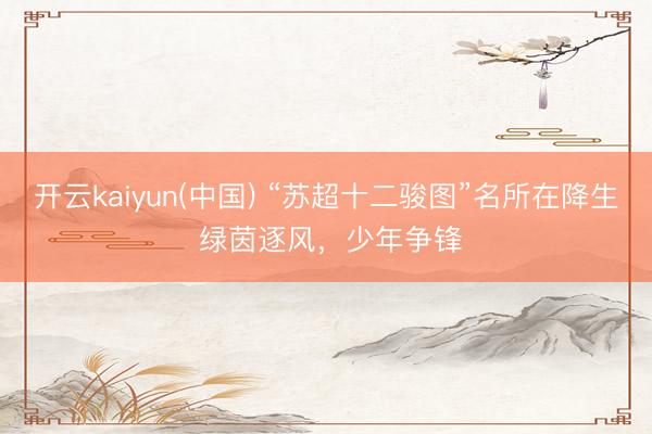 开云kaiyun(中国) “苏超十二骏图”名所在降生 绿茵逐风,少年争锋