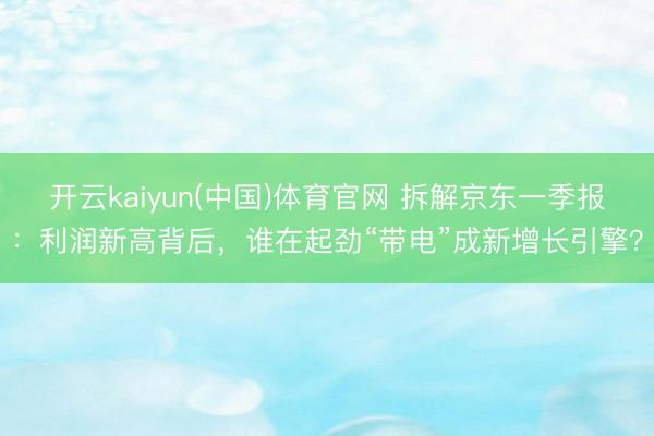 开云kaiyun(中国)体育官网 拆解京东一季报:利润新高背后,谁在起劲“带电”成新增长引擎?