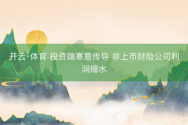 开云·体育 投资端寒意传导 非上市财险公司利润缩水