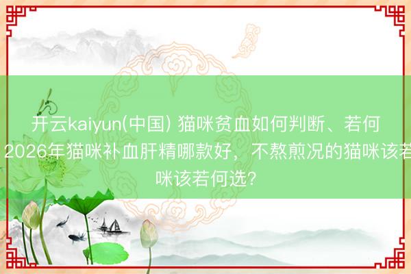 开云kaiyun(中国) 猫咪贫血如何判断、若何守护?2026年猫咪补血肝精哪款好,不熬煎况的猫咪该若何选?