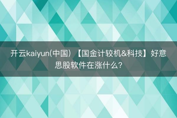 开云kaiyun(中国) 【国金计较机&科技】好意思股软件在涨什么?