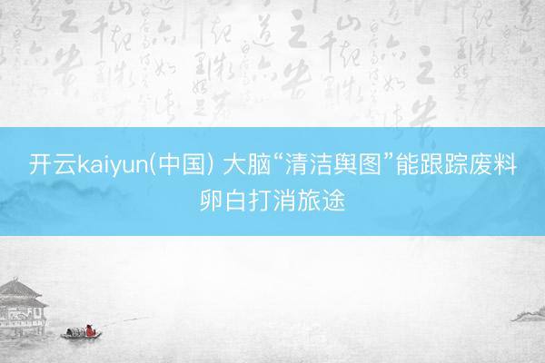开云kaiyun(中国) 大脑“清洁舆图”能跟踪废料卵白打消旅途