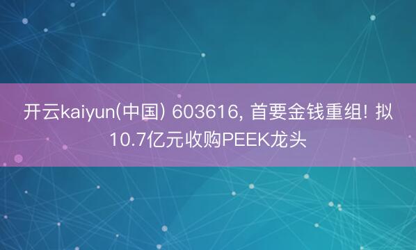 开云kaiyun(中国) 603616, 首要金钱重组! 拟10.7亿元收购PEEK龙头