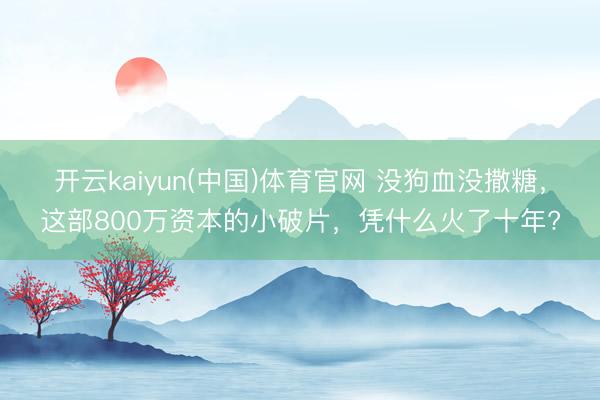 开云kaiyun(中国)体育官网 没狗血没撒糖,这部800万资本的小破片,凭什么火了十年?