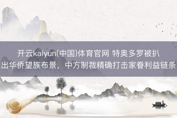 开云kaiyun(中国)体育官网 特奥多罗被扒出华侨望族布景,中方制裁精确打击家眷利益链条