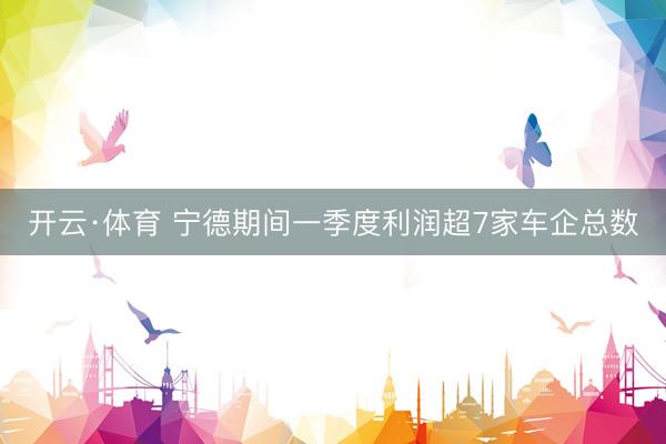 开云·体育 宁德期间一季度利润超7家车企总数